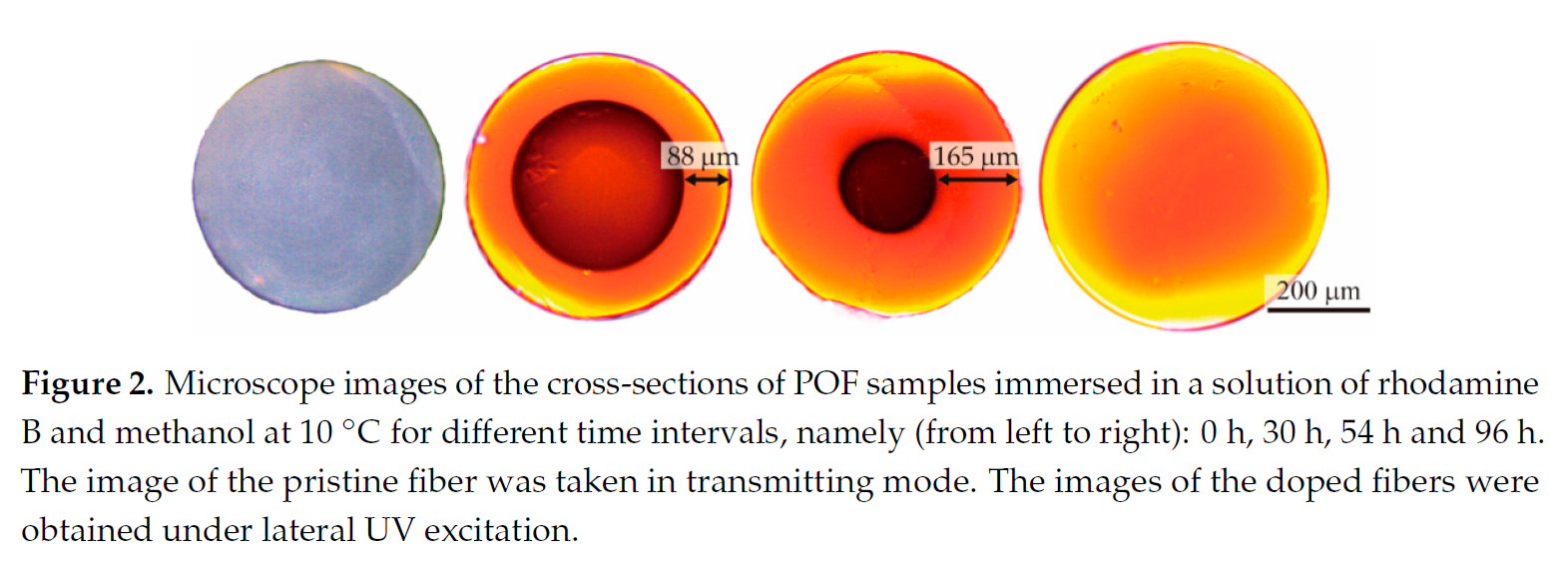 Fabrication of Active Polymer Optical Fibers - Luvantix ADM