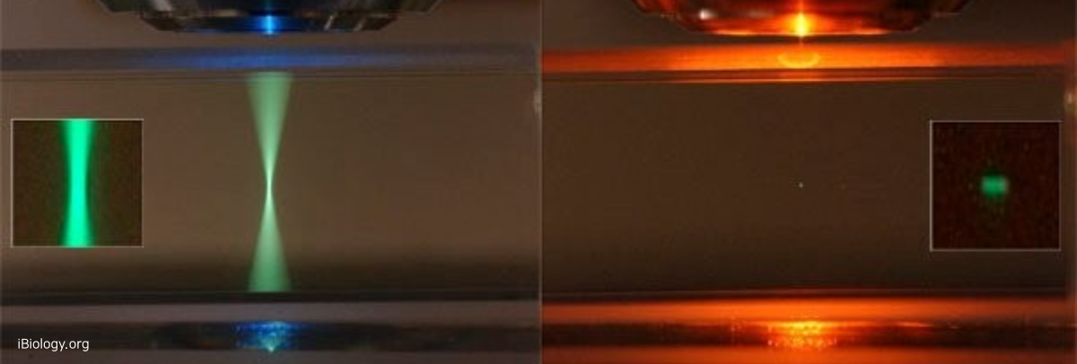 Low Index ND - Luvantix ADM